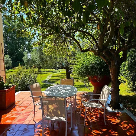 - Luxury - Pool - Garden -forte Dei Marmi Versilia- 빌라 몽티그노소